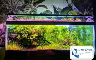 Le déménagement d&rsquo;un aquarium en toute sécurité